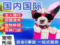 牡丹江空运地址国际宠物托运 【国